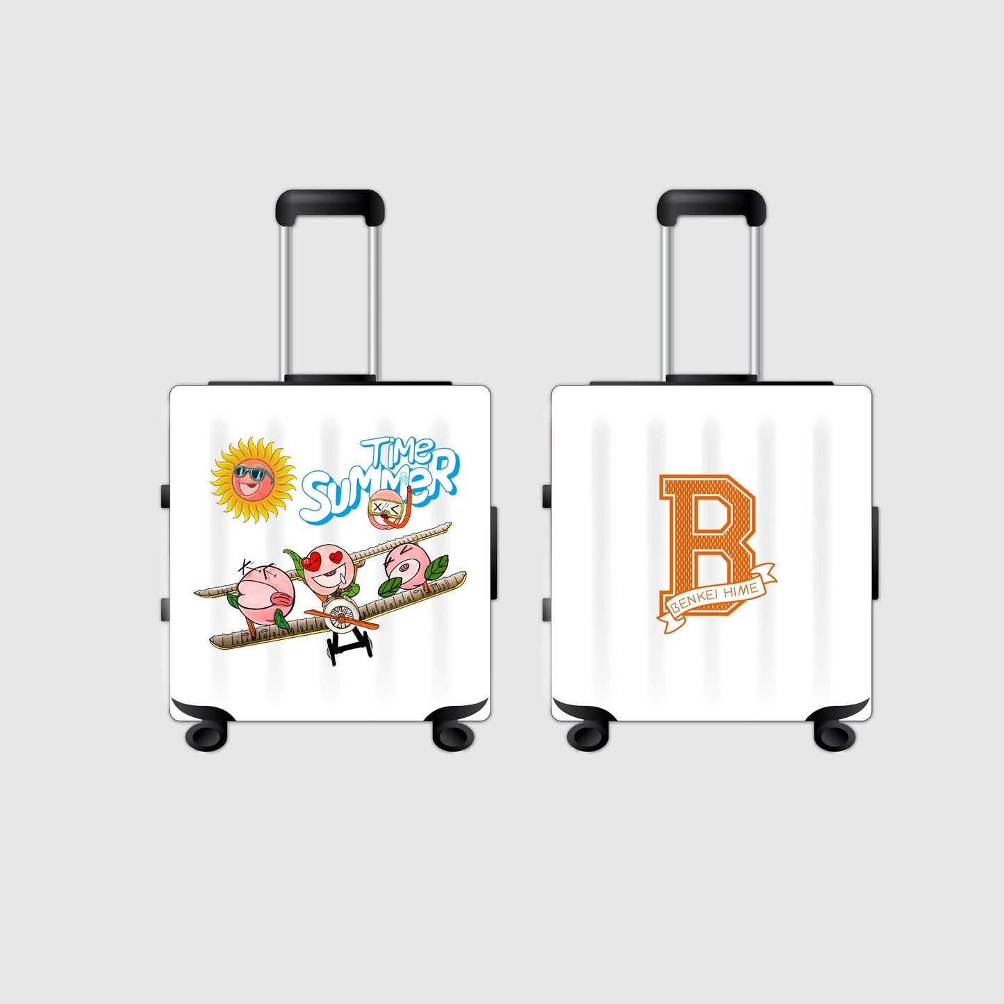 Travel Luggage