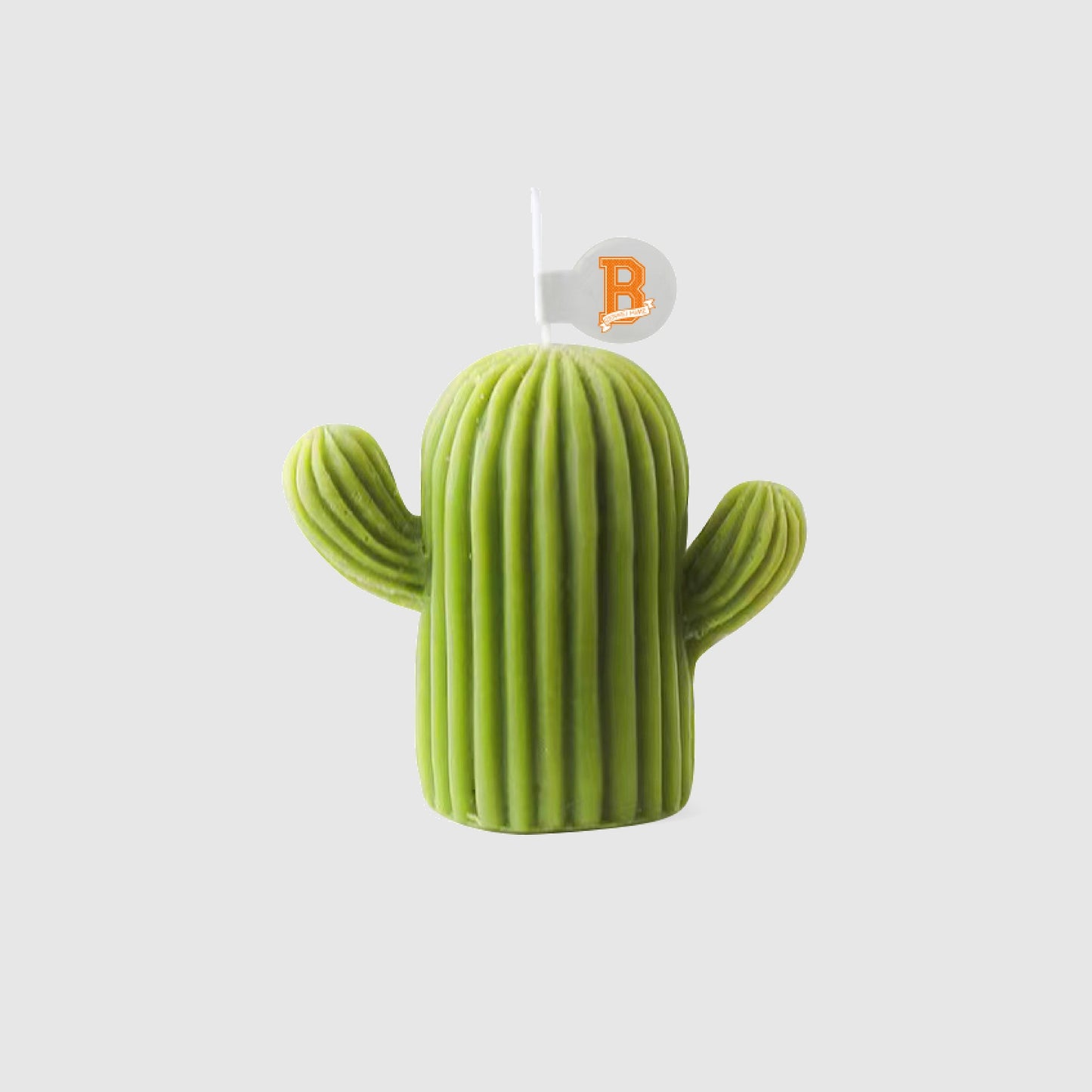 Cactus Candle
